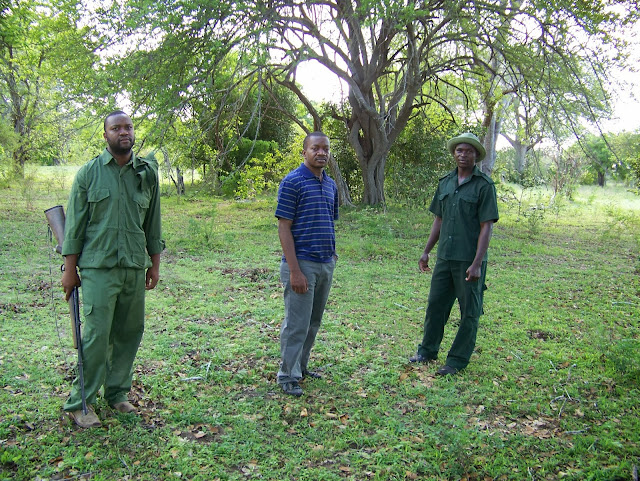 Game walking Safari Selous Reserve Tanzania