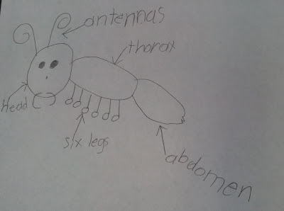 Mrs Jump's class: Insects and a FREEBIE!