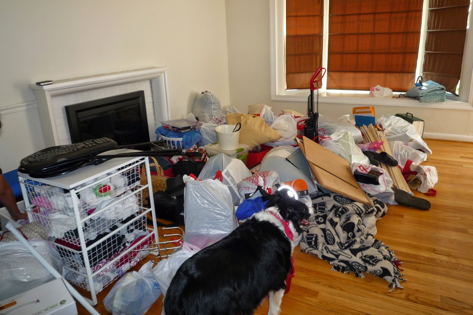 Simply Gourmet Sifting Through Life My Disposable House