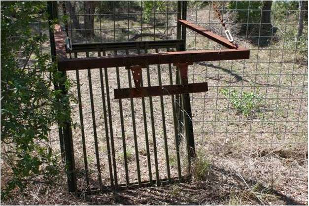 Wild Wonderings December 2013