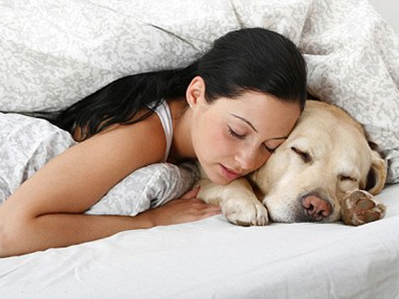 Mathway Graphing Calculator