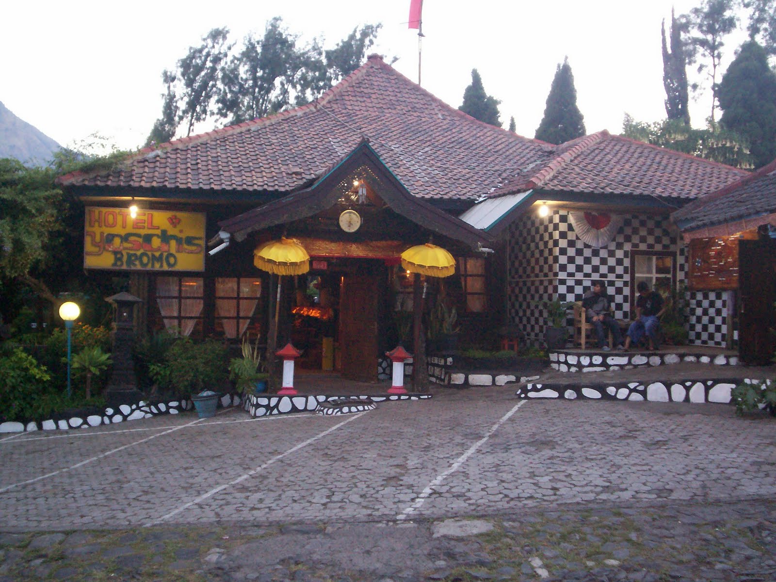 Penginapan Murah di Bromo, Yoschi's Hotel