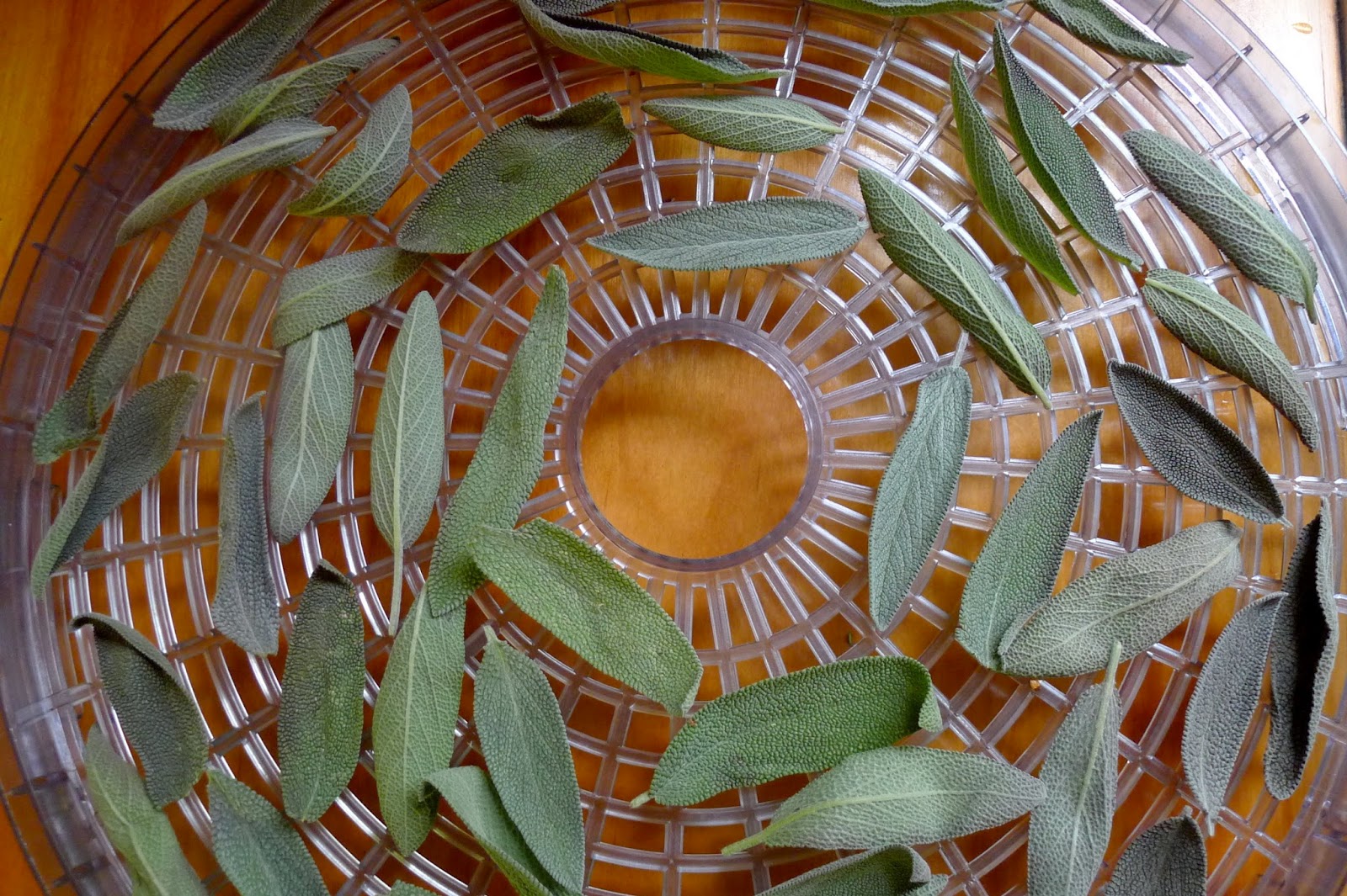 Less Noise, More Green Preserving herbs and eggplant, too