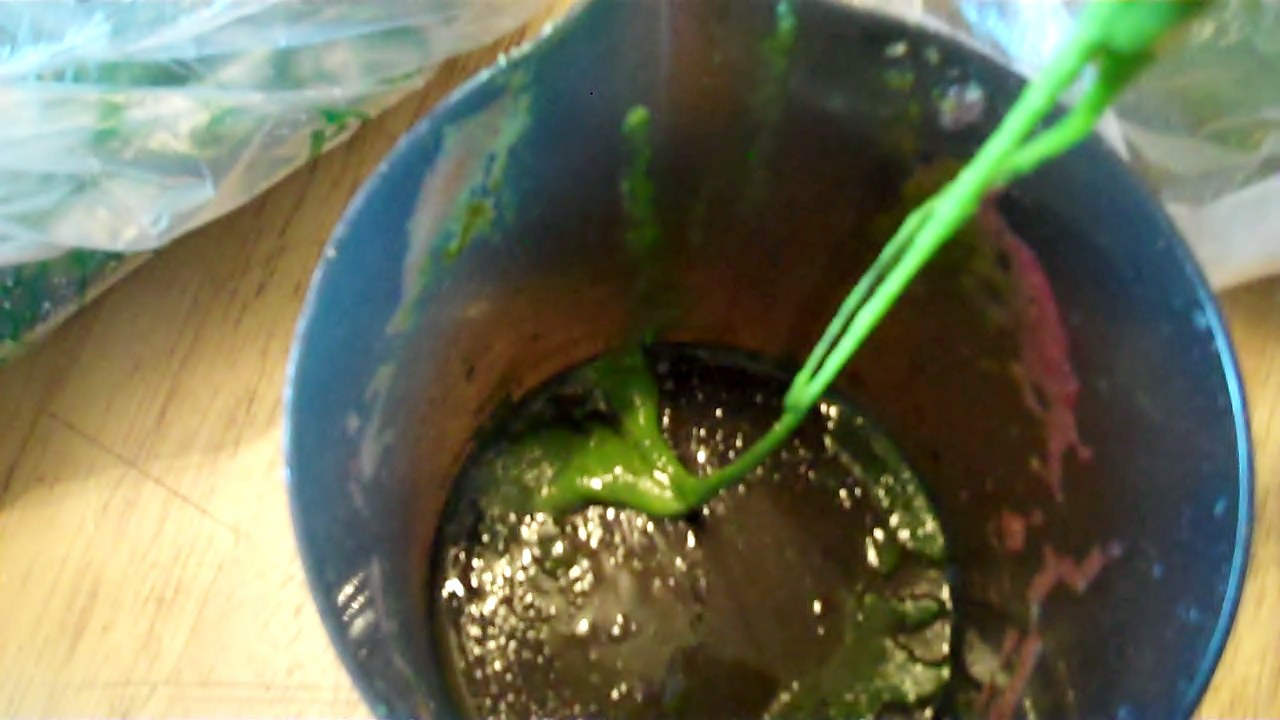 EatingVegan1234 Slimy Chinese Spinach