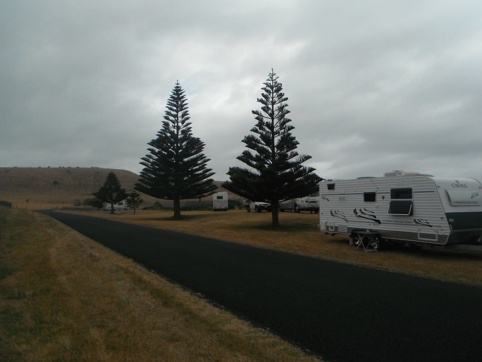 DSCF2590.JPG