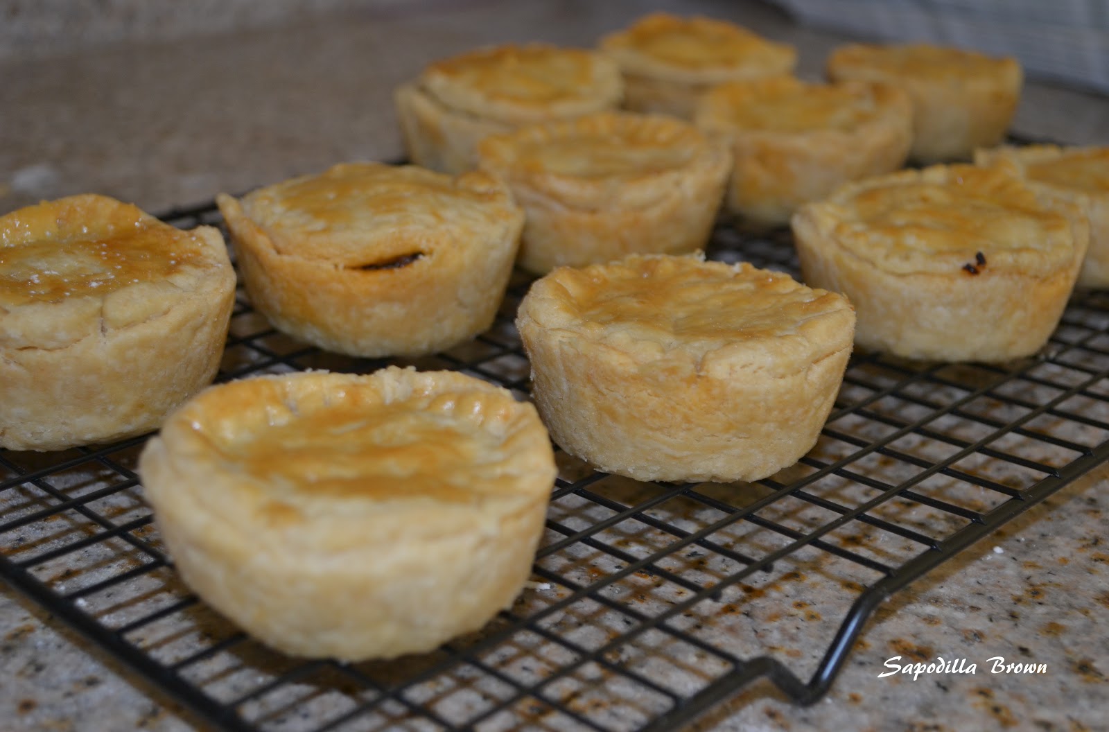 Sapodilla Brown Guyanese Beef Patties