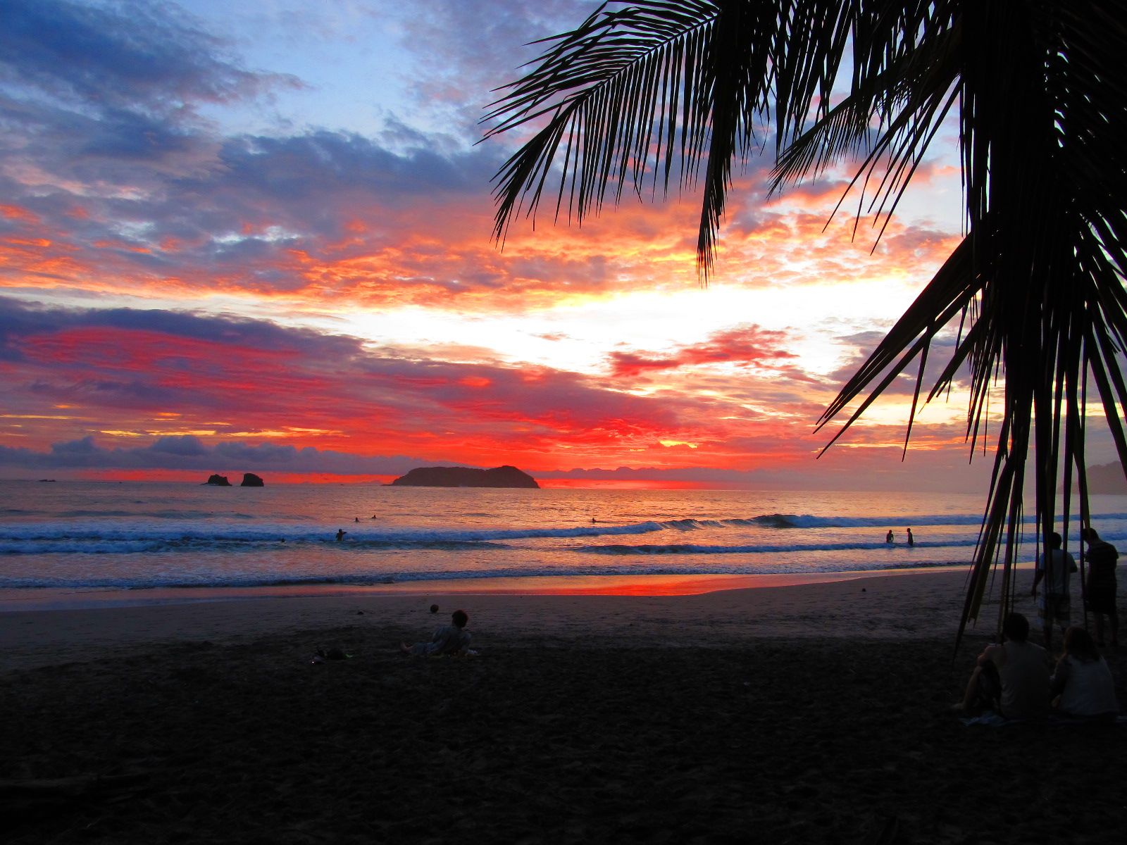 [Image: IMG_0870.jpg]