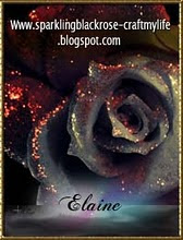Elaine's Craft Blog- check it out!