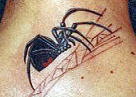 Spider Tattoo in Neck