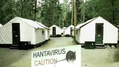 infectie; virus pulmonar; Yosemite; SUA; Parc National; cabane; picnic; pericolul din paduri; pericolul nevazut; virus mortal