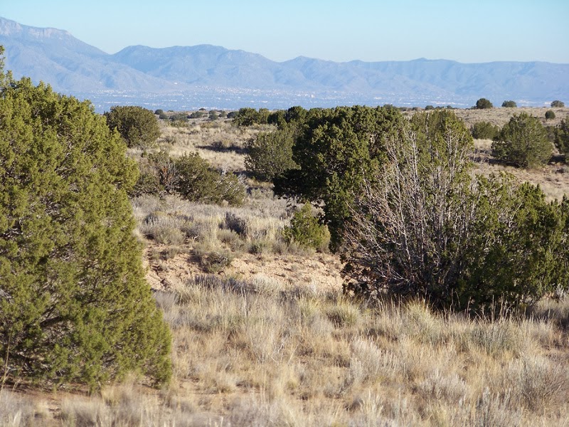 Lots for sale in Rio Del Oro Canyon Del Rio for only 550 for 0.6 acre