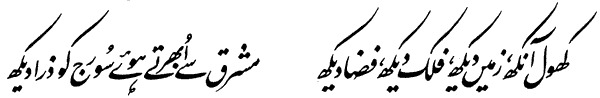 Allama Iqbal Poetry کلام علامہ محمد اقبال: (Bal-e-Jibril-145) Rooh-e-Arzi Adam  Ka Istaqbal Karti Hai
