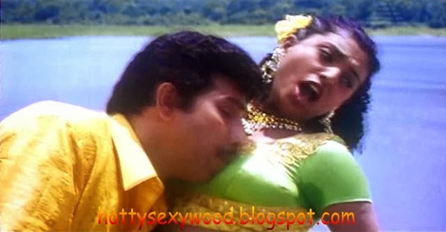 Tollywood Telugu Cinema News And Photos: Roja Hot Pics