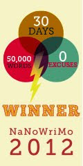 We Completed NaNoWriMo 2012!