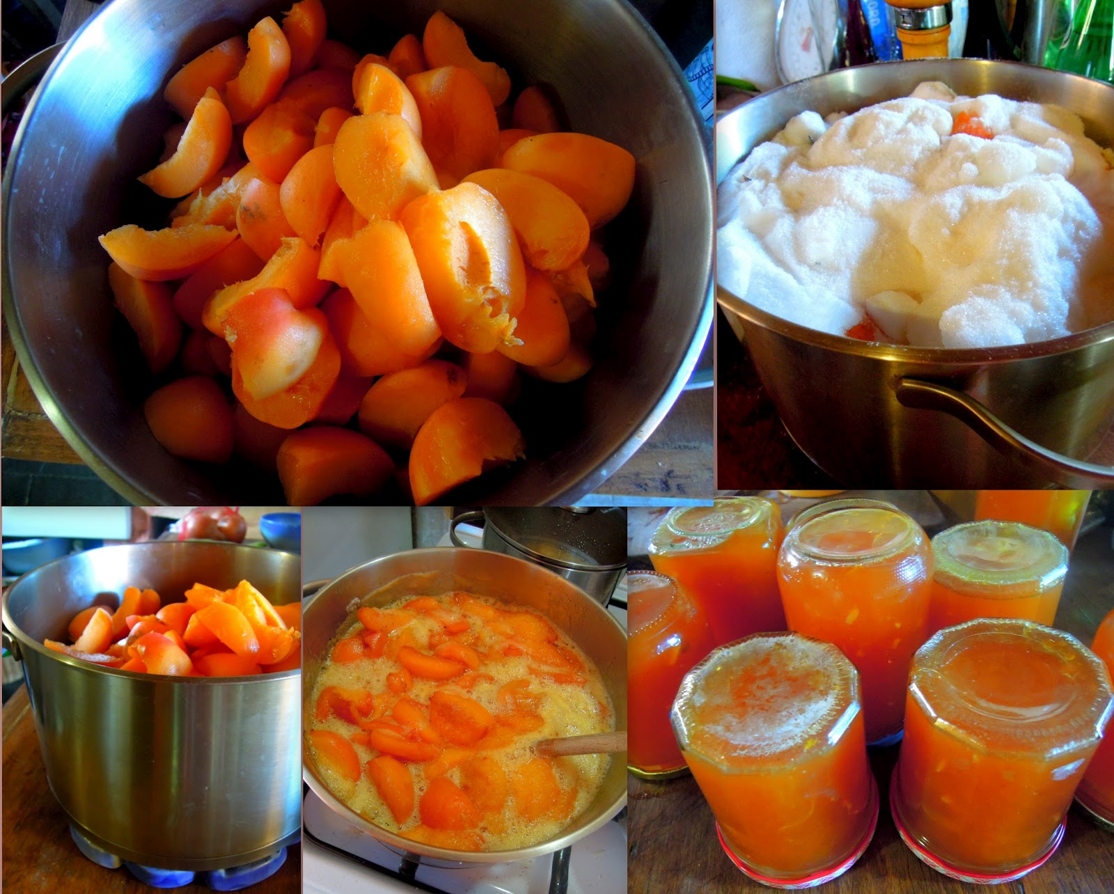 chowgypsy Jamming Out in France Easy Apricot Jam