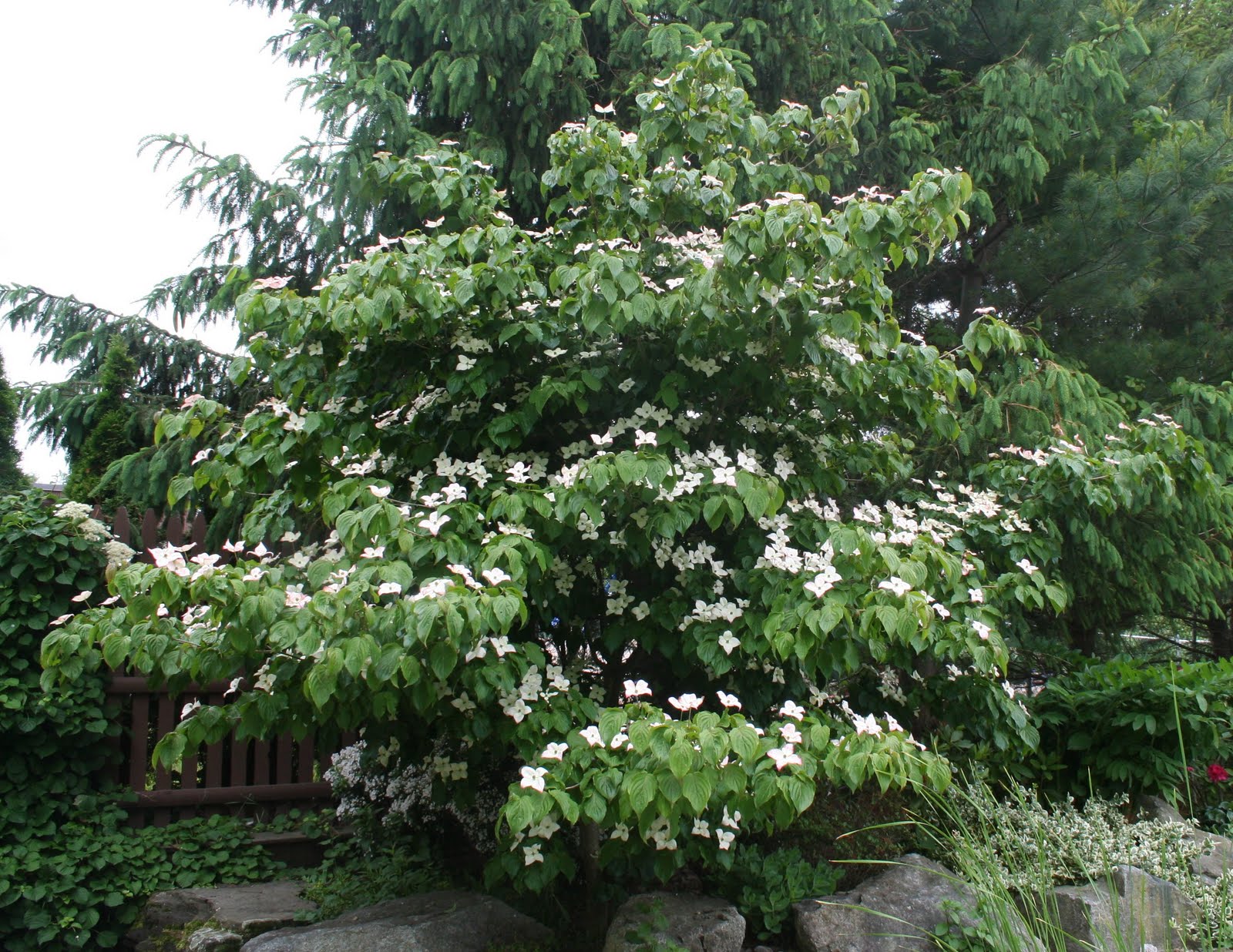 2 Bp Blogspot Com F5z4mmaprz0 Uatl40n1lzi Aaaaaaaaa 8 Yl2opfip4zq