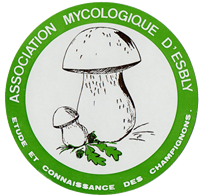 Association Mycologique d'Esbly
