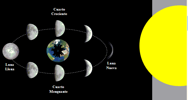 Fases De La Luna | fases de la luna new calendar template site Fases De La Luna | fases de la luna new calendar template site