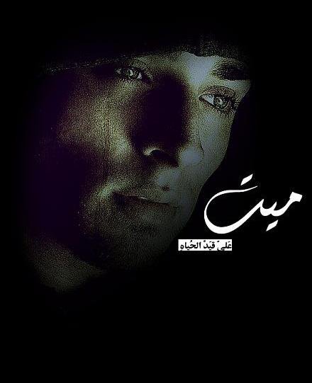 ������ ���� ������ �� ���� ������