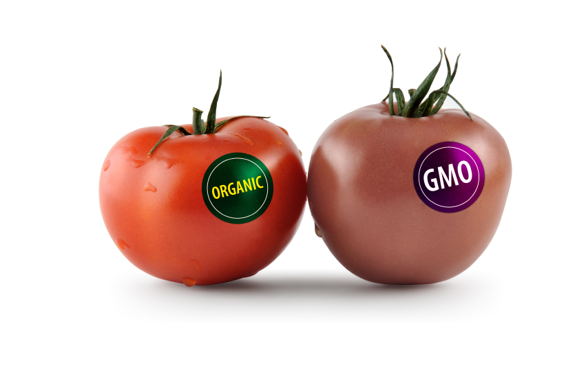 Organic vs. gmo | home guides | sf gate