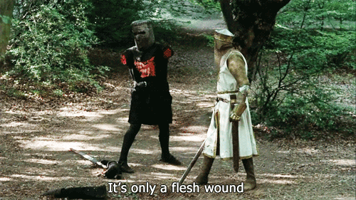 only-a-flesh-wound.gif