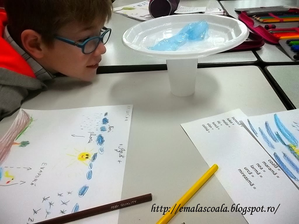 Circuitul Apei In Natura