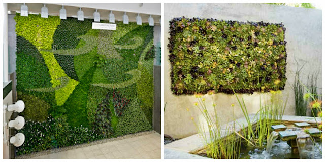 diseña tu vida: PLANTAS PARA PATIOS PEQUEÑOS