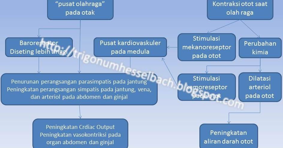 Denyut Subak Jembrana Kembali Berdetak, Hanya Suara Air yang Terdengar, 