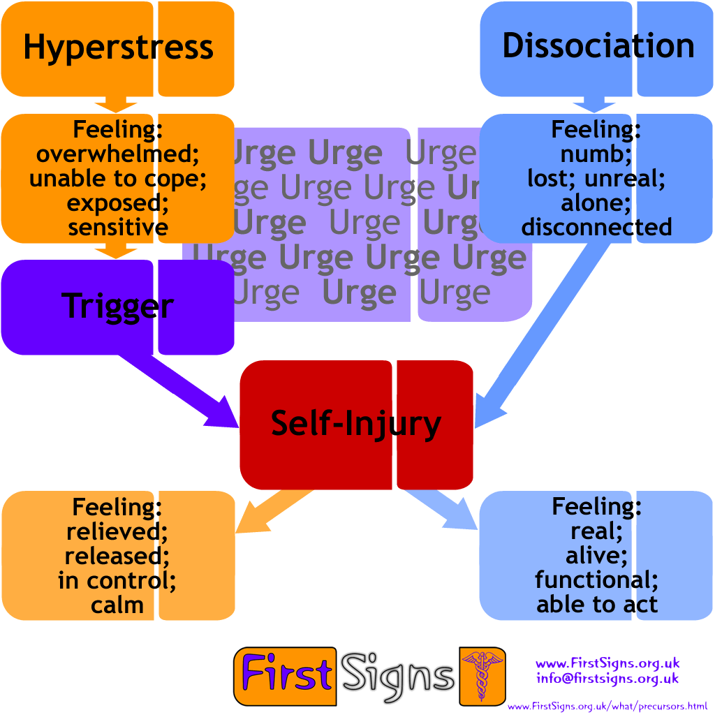 the major causes of disconnection from self awareness dissociation Unpredictable or frightening family environments may also cause the child to ‘disconnect dissociation and dissociative disorders such as repeated self. the major causes of disconnection from self awareness dissociation Unpredictable or frightening family environments may also cause the child to ‘disconnect dissociation and dissociative disorders such as repeated self.