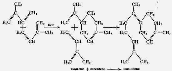 Polymerization of Isoprene