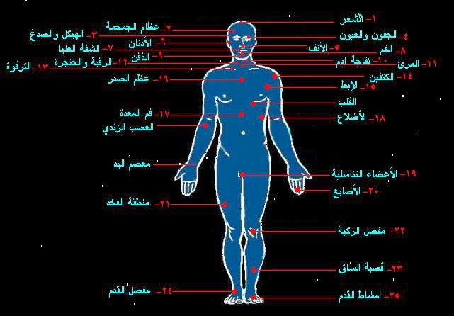 شريف فاروق للمكملات الغذائية الدفاع عن النفس و قتال الشوارع