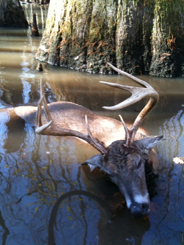 Black Swamp Land For Sale in Arkansas Black Swamp 80 Acres of Land For