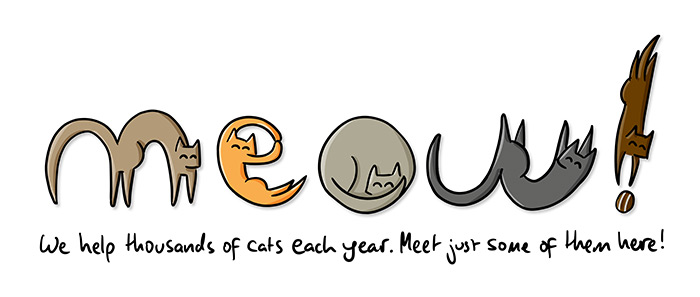 Meow! Blog | Cats Protection