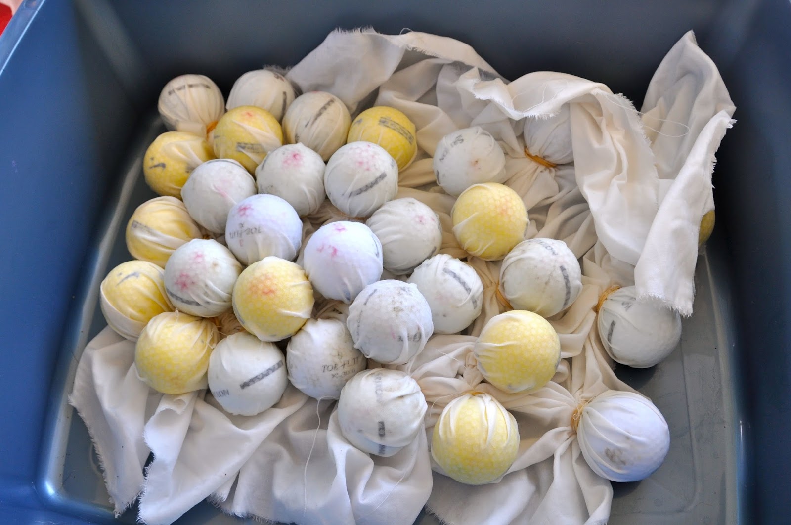 LuAnn Kessi Dye Play Day.....in the back yard