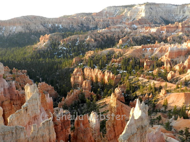 looking into the amphitheater at Sunrise Point in Bryce Canyon