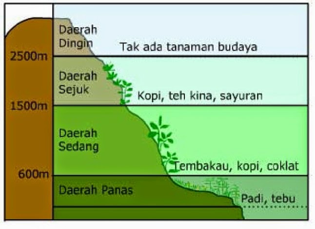 Geo Mania Klasifikasi Iklim Junghuhn