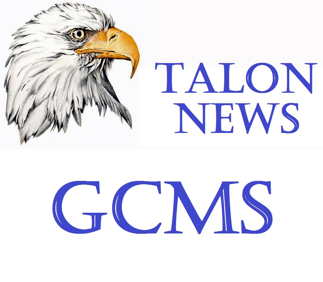 Talon News