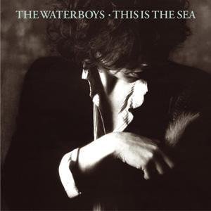 The Waterboys