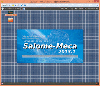 DEXCS Salome Meca