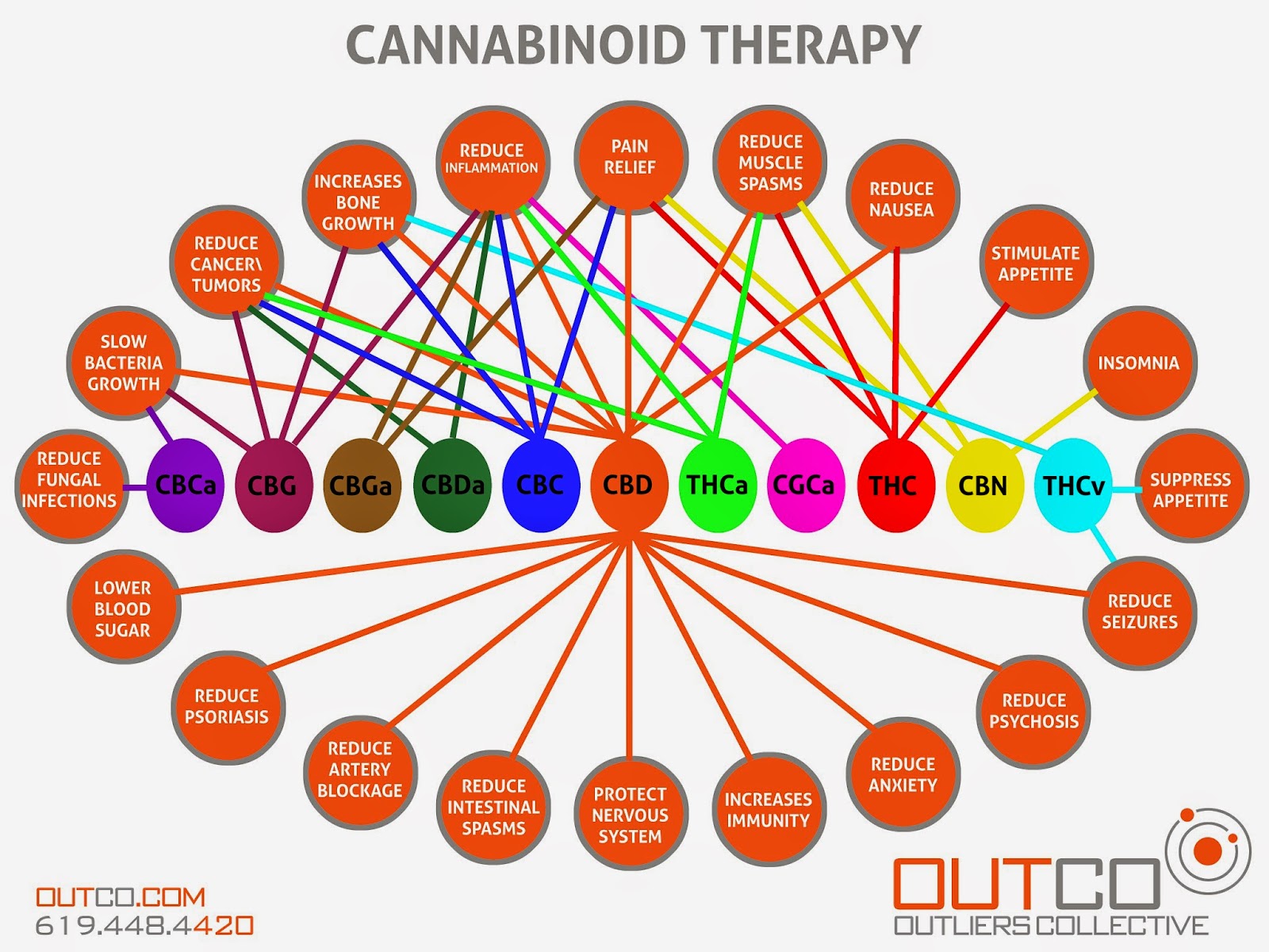 Kanabinol - what it is: medicine or drug 53 Kanabinol - what it is: medicine or drug 8
