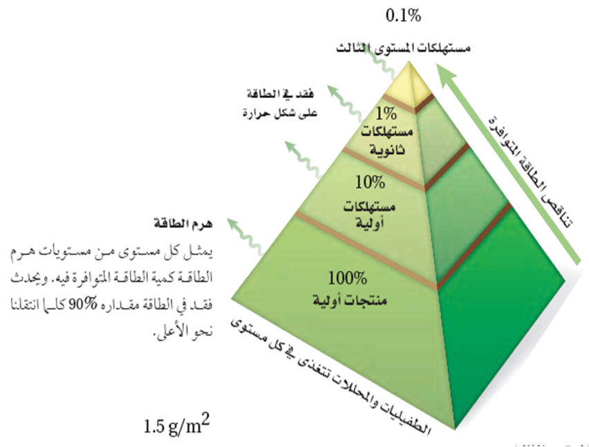 كلما انتقلنا الى قمة الهرم البيئي فان الطاقة والكتلة الحيوية والحجم للجماعة الحيوية