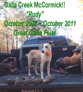 In Loving Memory of Galla Creek McCormick