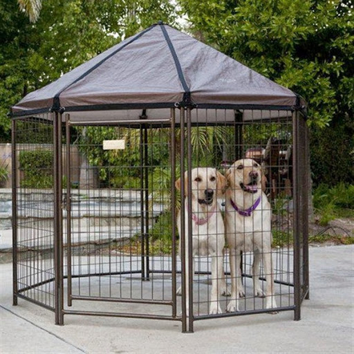 Desain model rumah anjing penjaga diluar rumah Desain model rumah anjing penjaga diluar rumah