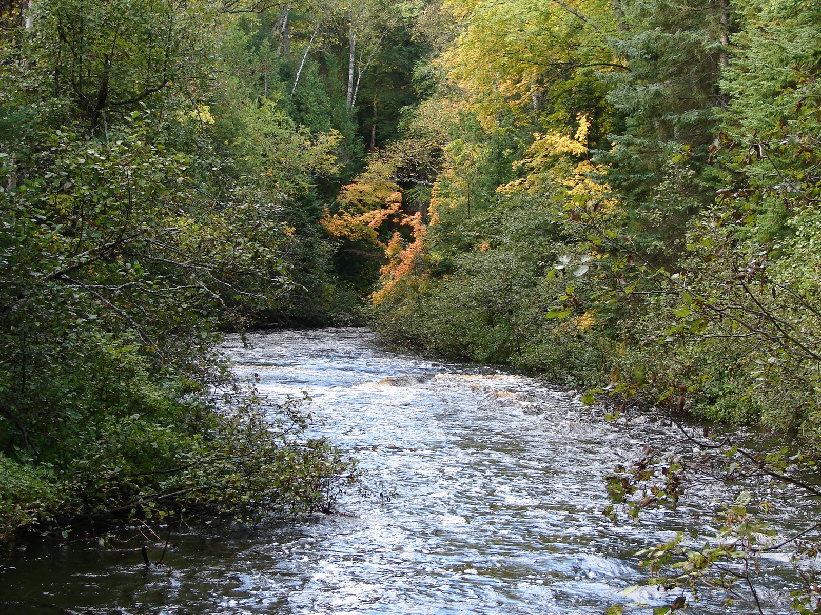 Big Two Hearted River Part 2