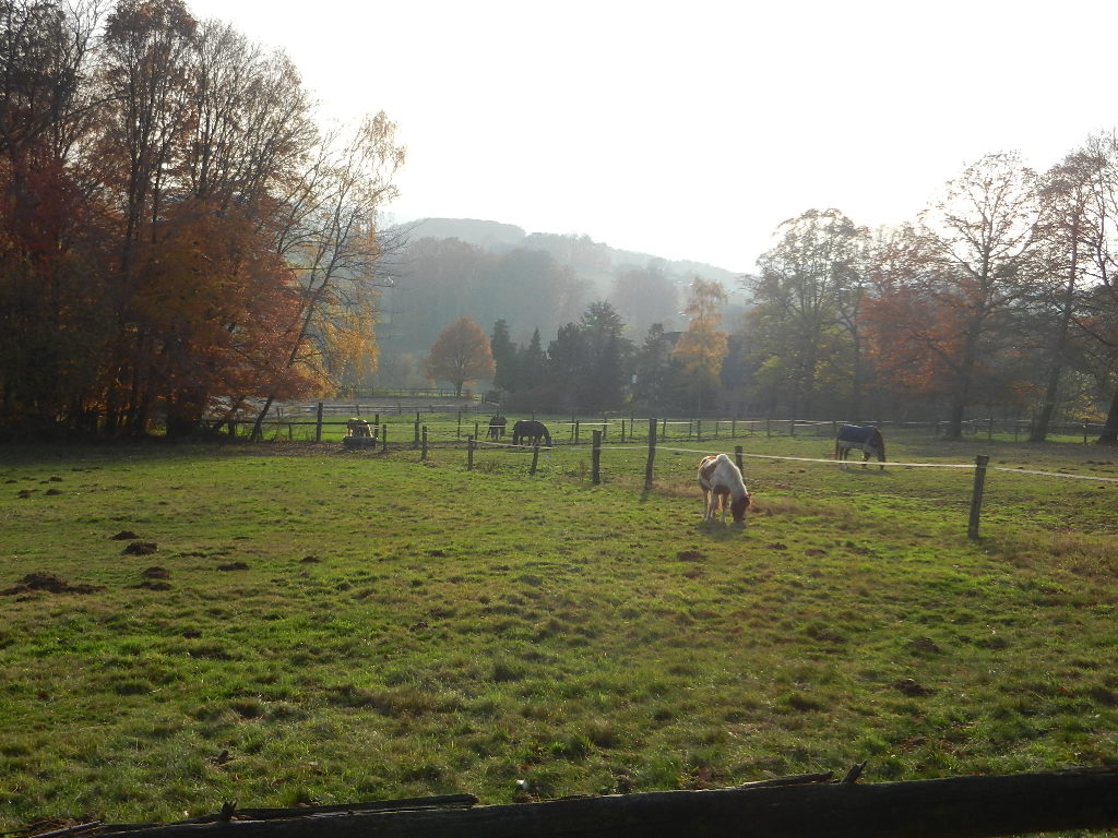 Y O U N G S T E R S P O I N T Ausflug Zum Weihnachtsmarkt