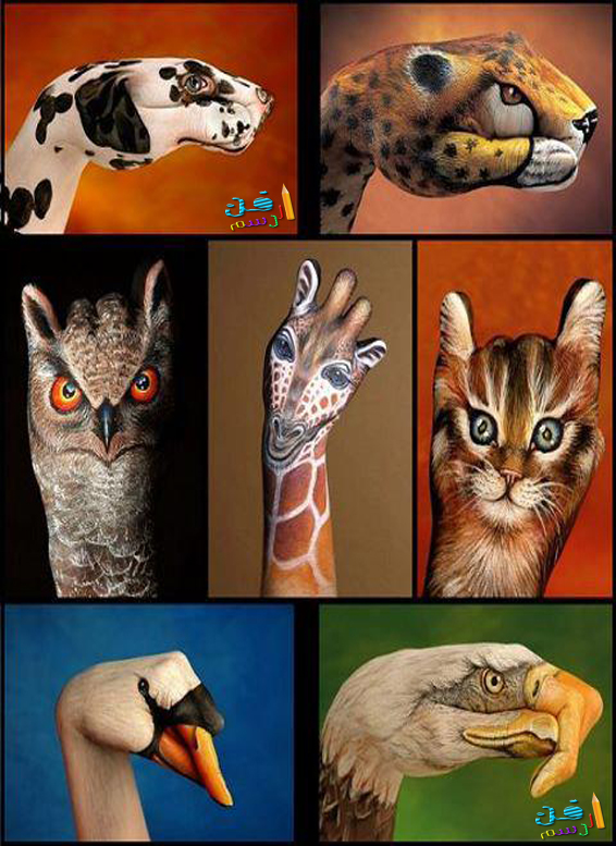 فنون فن الرسم على اليد رسومات رائعة على اليد قمة الفن والإبداع