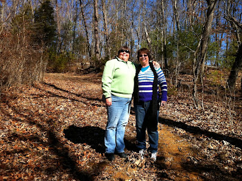 Lisa and I , enjoying the hike.