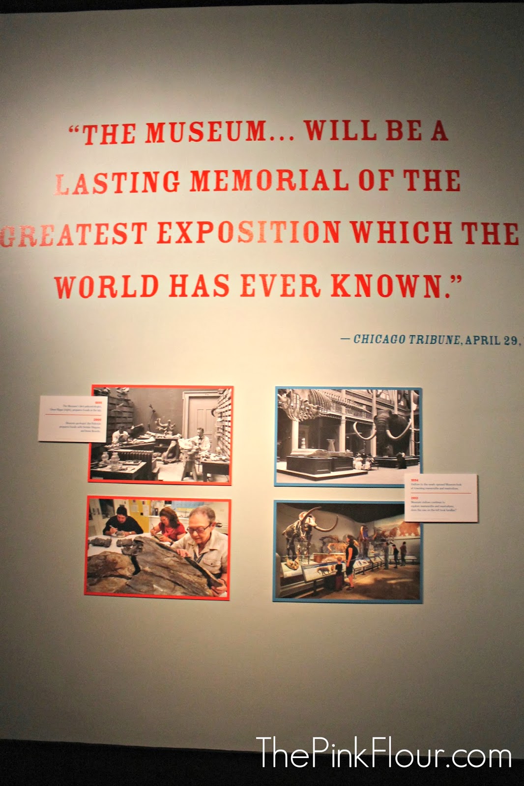 The Pink Flour Chicago World's Fair Exhibit at The Field Museum