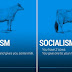 Two Cows Explain The World Economy Better Than Any Professor
