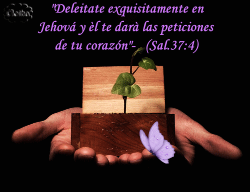 Frases De Motivacion Cristiana Frases De Motivacion Cristiana